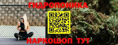 МДПВ Новокубанск
