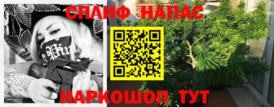 МДПВ Новокубанск