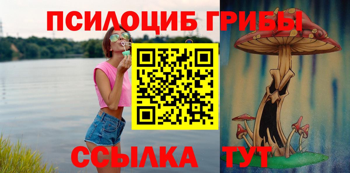 Псилоцибиновые грибы GOLDEN TEACHER  Вход с VPN  Серов 